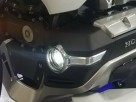 Goldstrike Goldwing Fog Light Trim Rings